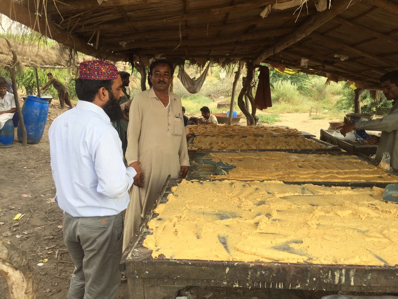 Girls' Education Drive — Across Sindh